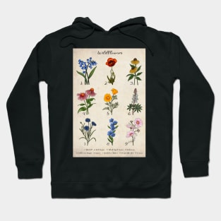 Vintage Floral Wildflower Illustrations Hoodie